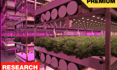 Interior Vertical Farming Location